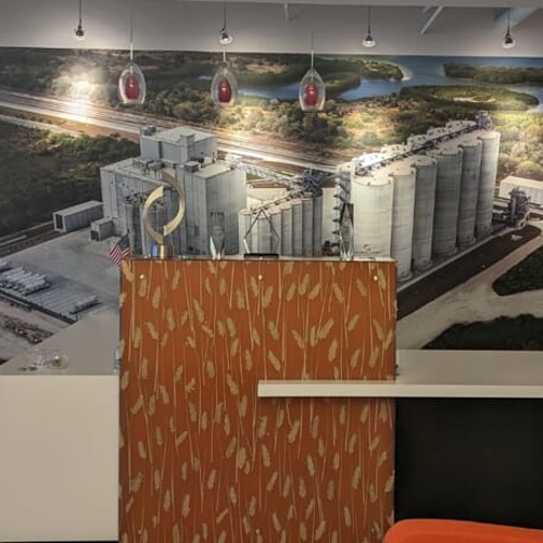 Vinyl Wall Graphics